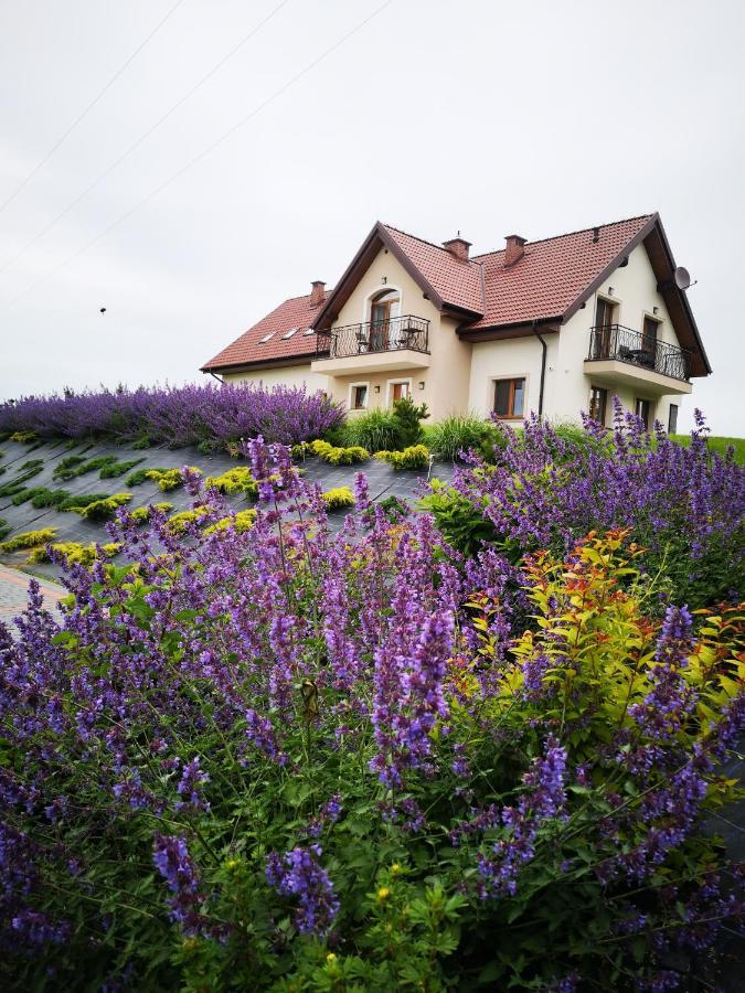 Apartamenty, Zielone Wzgorze Wiktora W Mikolajkach Mikołajki 外观 照片