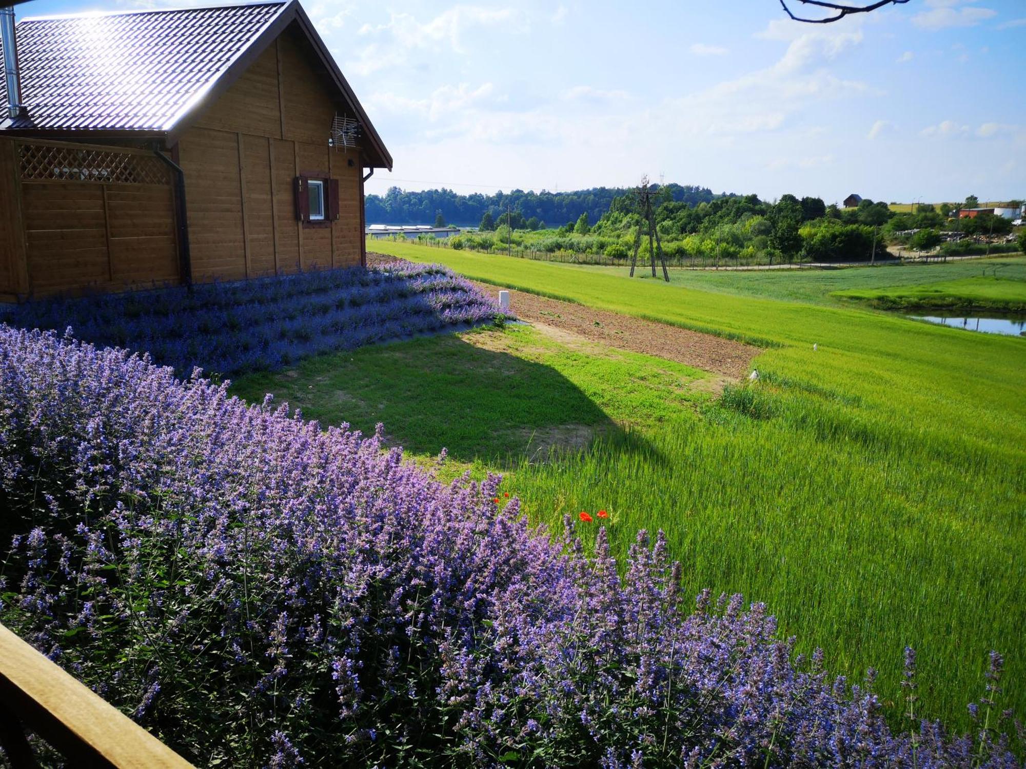 Apartamenty, Zielone Wzgorze Wiktora W Mikolajkach Mikołajki 客房 照片
